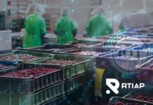 RTIAP: La Solución Tecnológica para los Desafíos de la Cadena de Frío en la Industria Frutícola Chilena