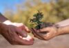 Rescate de la biodiversidad nativa 