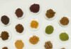 Residuos agroindustriales: nueva ficha técnica revela su potencial como fuente de antioxidantes naturales