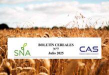 SNA | Boletín Cereales N° 7, Consorcio Agrícola del Sur CAS
