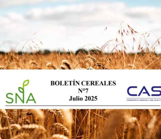 SNA | Boletín Cereales N° 7, Consorcio Agrícola del Sur CAS