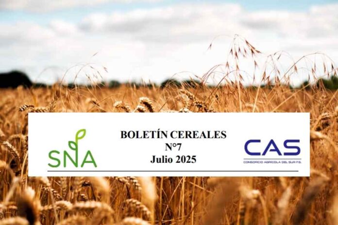 SNA | Boletín Cereales N° 7, Consorcio Agrícola del Sur CAS