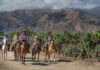Salta naturaleza, cultura, vinos y sabores para descubrir