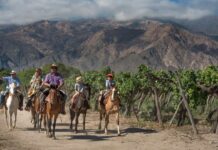 Salta naturaleza, cultura, vinos y sabores para descubrir