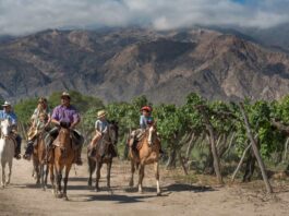 Salta naturaleza, cultura, vinos y sabores para descubrir