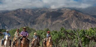 Salta naturaleza, cultura, vinos y sabores para descubrir