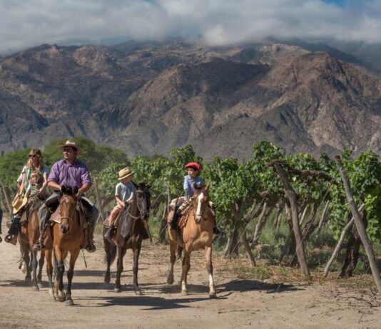 Salta naturaleza, cultura, vinos y sabores para descubrir