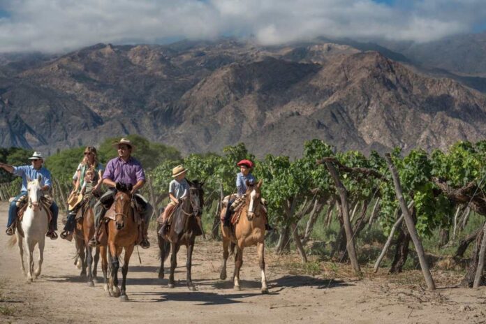 Salta naturaleza, cultura, vinos y sabores para descubrir