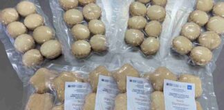 Snack hiperproteico con sabor local: Una innovación que trasciende la academia