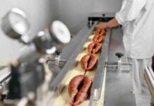 Tras el éxito de la película “Denominación de Origen” empresa Silbertec destaca fusión entre tradición y tecnología en el arte de hacer longanizas.