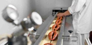 Tras el éxito de la película “Denominación de Origen” empresa Silbertec destaca fusión entre tradición y tecnología en el arte de hacer longanizas.
