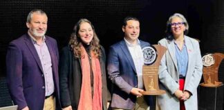  Tres Fiestas de la Vendimia 2025 de la región de O’Higgins reciben Sello de Buenas Prácticas: por su calidad, identidad y aporte al turismo nacional