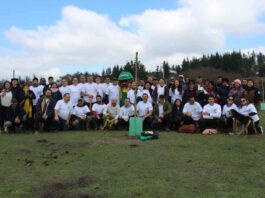 Turbus y Conaf reforestan sector de Reserva Nacional Lago Peñuelas afectado por megaincendio del 2024