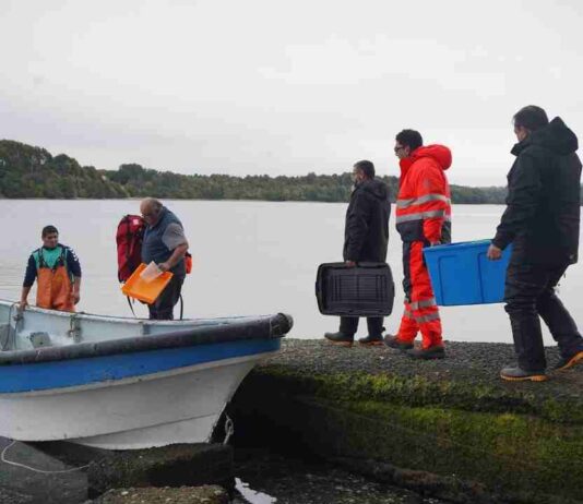 UCN impulsa acuicultura sostenible a través de monitoreo ambiental en La Región de Los Lagos