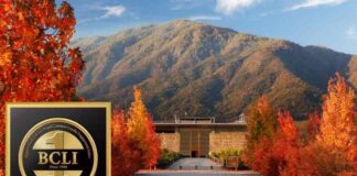 Viña Montes elegida como la marca #1 en fidelidad en los prestigiosos bBRAND CUSTOMER LOYALTY AWARD 2025 en Corea Del Sur