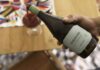 Uno de los mejores Pinot Noir de Chile: Algarrobo Pinot Noir de Viña Terranoble, Decanter World Wine Awards 2025