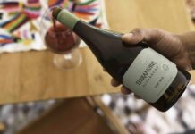 Uno de los mejores Pinot Noir de Chile: Algarrobo Pinot Noir de Viña Terranoble, Decanter World Wine Awards 2025