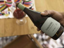 Uno de los mejores Pinot Noir de Chile: Algarrobo Pinot Noir de Viña Terranoble, Decanter World Wine Awards 2025