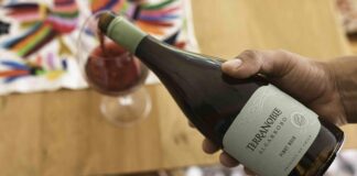 Uno de los mejores Pinot Noir de Chile: Algarrobo Pinot Noir de Viña Terranoble, Decanter World Wine Awards 2025