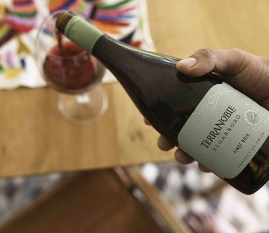 Uno de los mejores Pinot Noir de Chile: Algarrobo Pinot Noir de Viña Terranoble, Decanter World Wine Awards 2025