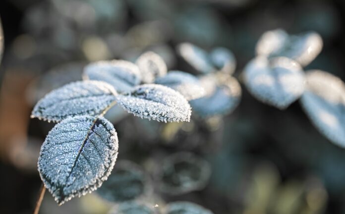 Proyecciones de invierno para Chile: lluvias cortas e intensas seguidas de largos periodos de frío extremo