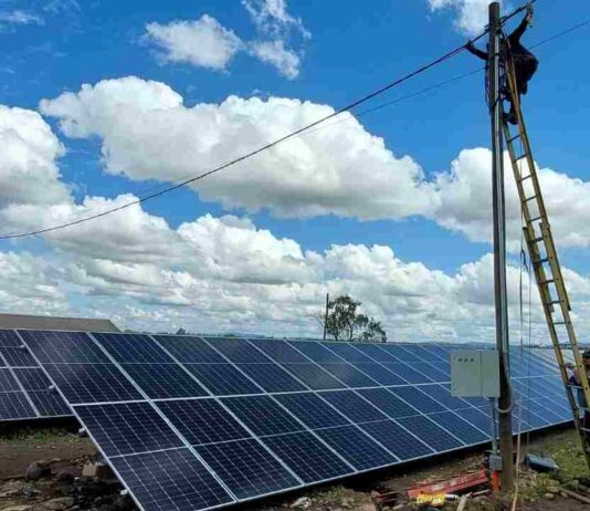 ¿Qué tipo de sistema solar conviene más para tu empresa agrícola? On-Grid vs. Off-Grid
