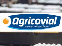 Agricovial en Espacio Food Service: innovación y calidad en huevos y ovoproductos para la industria alime