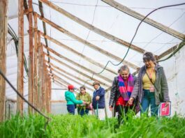 Agricultoras de la Región del Maule se capacitan en manejo agroecológico de suelos