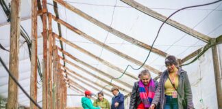 Agricultoras de la Región del Maule se capacitan en manejo agroecológico de suelos