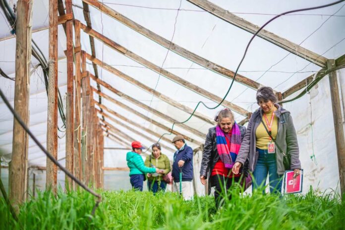 Agricultoras de la Región del Maule se capacitan en manejo agroecológico de suelos