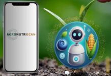 AgroNutriScan: el proyecto INIA que incorpora un asistente digital para optimizar la fertilización en maíz y arándanos