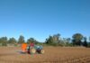 INIA y Curimapu sellan alianza para multiplicar semilla de alfalfa Kauke