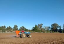 INIA y Curimapu sellan alianza para multiplicar semilla de alfalfa Kauke
