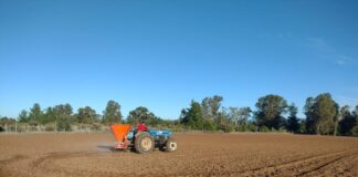 INIA y Curimapu sellan alianza para multiplicar semilla de alfalfa Kauke