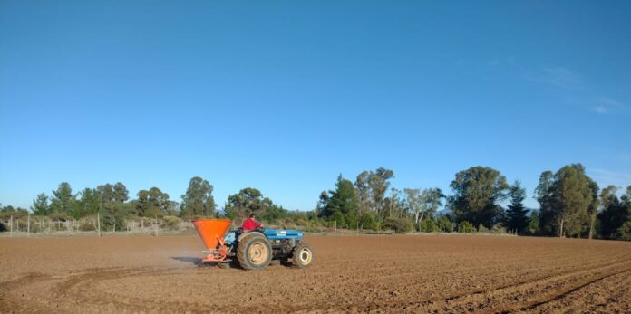 INIA y Curimapu sellan alianza para multiplicar semilla de alfalfa Kauke