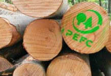 Alianza entre PEFC Chile y la Cámara de Comercio de Santiago busca fortalecer la sostenibilidad a través de la certificación de cadena de custodia