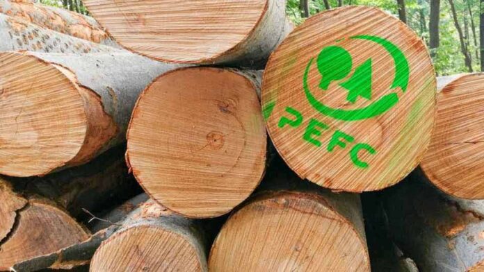 Alianza entre PEFC Chile y la Cámara de Comercio de Santiago busca fortalecer la sostenibilidad a través de la certificación de cadena de custodia