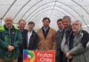 Arándanos: Se proyecta una temporada positiva pero con desafíos