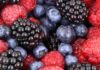 Berries chilenos y su potencial científico para enfrentar el cáncer colorrectal