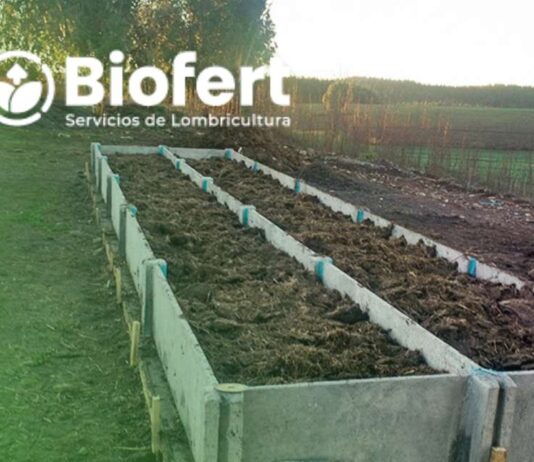 Biofert y su CEO, Roberto Verdejo: La Lombricultura Intensiva, aporta nutrientes y bioestimulantes benéficos en la agricultura y baja los costos en fertilizantes
