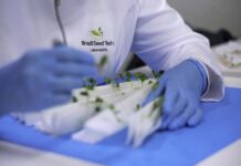 Buntech Agro amplía su presencia en América del Sur con la adquisición de cuatro empresas de tecnología de semillas