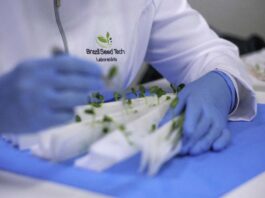 Buntech Agro amplía su presencia en América del Sur con la adquisición de cuatro empresas de tecnología de semillas