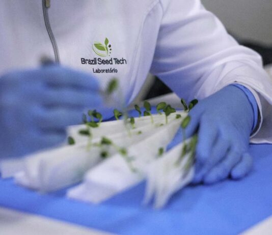 Buntech Agro amplía su presencia en América del Sur con la adquisición de cuatro empresas de tecnología de semillas