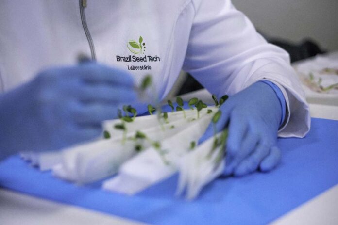 Buntech Agro amplía su presencia en América del Sur con la adquisición de cuatro empresas de tecnología de semillas