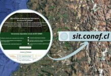 CONAF incorpora en su plataforma información sobre especies en categoría de conservación