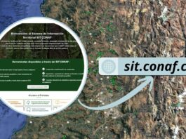 CONAF incorpora en su plataforma información sobre especies en categoría de conservación