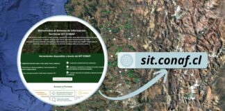CONAF incorpora en su plataforma información sobre especies en categoría de conservación