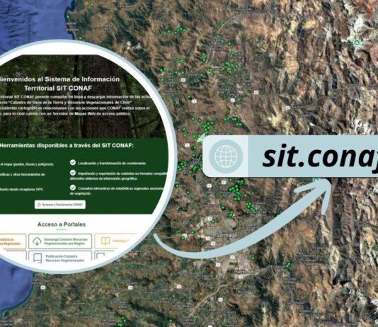 CONAF incorpora en su plataforma información sobre especies en categoría de conservación