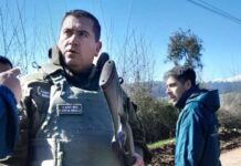 Carabineros y SAG detienen a cazador furtivo de especie protegida