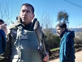Carabineros y SAG detienen a cazador furtivo de especie protegida